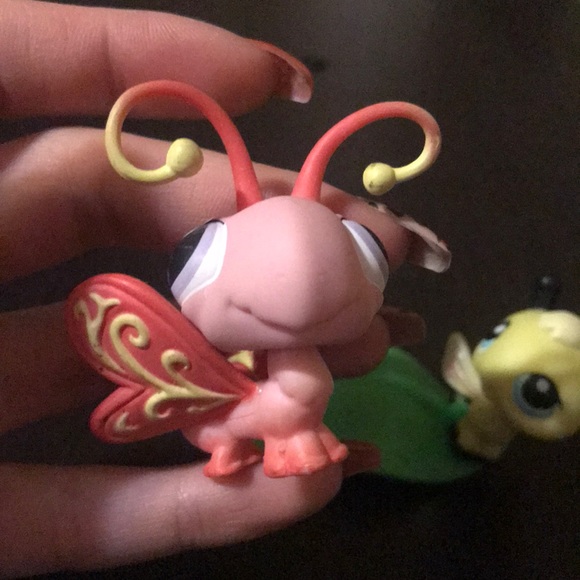Littlest pet shop bee and butterfly - Picture 5 of 7